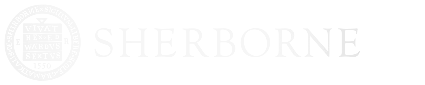 SS logo wide white.png